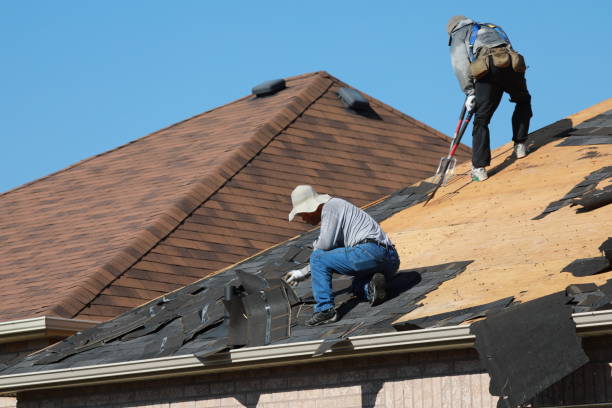 Best Gutter Installation and Repair  in Zanesville, OH